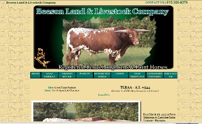 Texas Longhorns